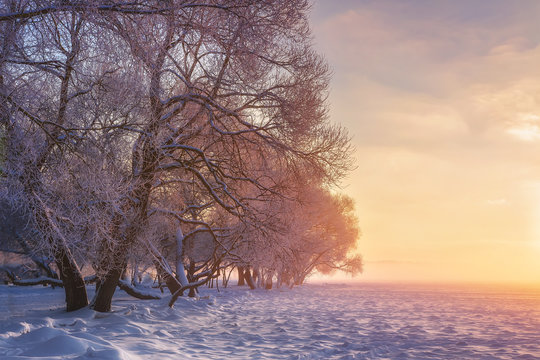Colorful winter landscape