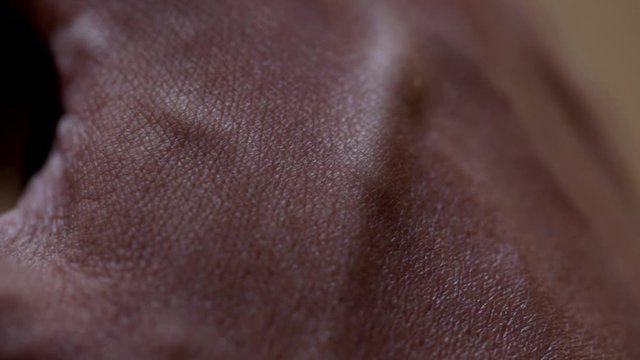 close up view of a hand skin texture