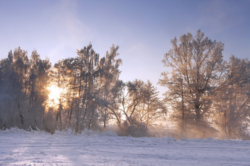 Frosty winter landscape at sunrise. Morning winter nature with sunrays
