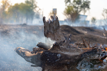 fire in the field and dry wood burns with blue smoke