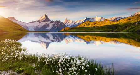 Fotobehang Great view of Bernese range above Bachalpsee lake. Location Swiss alps, Grindelwald valley. © Leonid Tit