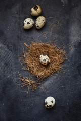 quail eggs on black background
