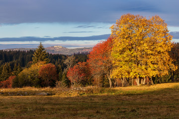 Colored Autumn in beautiful Czech National Park Sumava - Europe