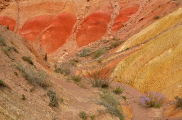 Colourful rocks of Skazka (Fairy tale) rainbow canyon,Kyrgyzstan,located on Issyk-Kul shore