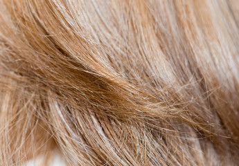 Women's hair is close-up