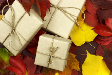 three gift boxes on the background of leaves