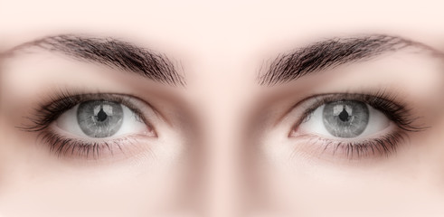 Obraz premium Close-up face of beautiful girl with beautiful grey eyes and big pretty eyelashes