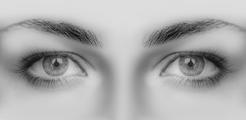 Close-up face of beautiful girl with beautiful grey eyes and big pretty eyelashes