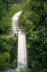 Promenade dans les gorges du verdon, partie boisée, entre mere et fils.