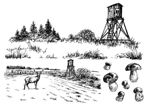 Landscape with deer stand. Vector illustration.