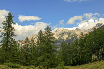 Fototapeta na wymiar Details from national park Triglav, part of Alps mountains in Slovenia