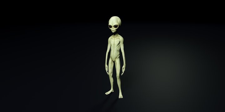 Extremely detailed and realistic high resolution 3d illustration of a grey alien