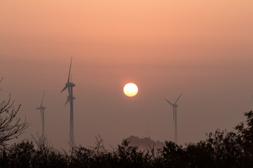wind turbines at sunset