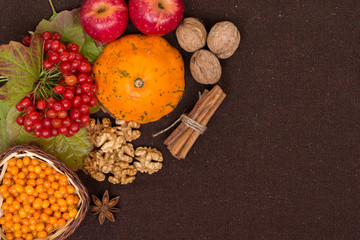 Obraz na płótnie Canvas Vitamins of autumn. Berries and leaves of viburnum, sea buckthorn, pumpkin, walnuts, red apples, cinnamon and anise on a brown fabric background, top view. Copy save, flatly