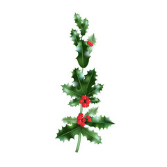 Green holly branch