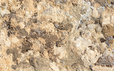 background stone
