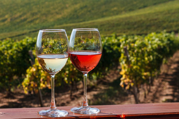 Autumn landscape with glasses of rose and white wine on the background of a vineyard.