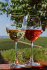 Autumn landscape with glasses of rose and white wine on the background of a vineyard.