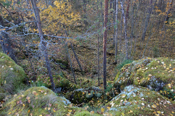 Beautiful Karelian forest landscape in early autumn in Russia
