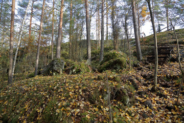 Beautiful Karelian forest landscape in early autumn in Russia
