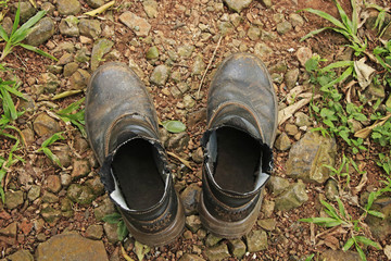 pair of shoes on grass