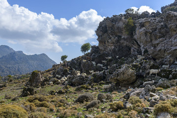 mountain in Crete