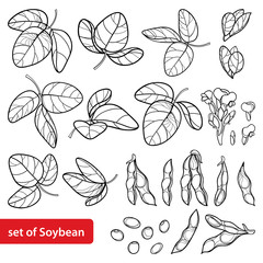 Vector set with outline Soybean or Soy bean pods with beans, flower and ornate leaf in black isolated on white background. Legume plant Soya in contour for vegetarian food drawing or coloring book.