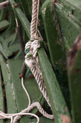 An old rope in vintage green boat
