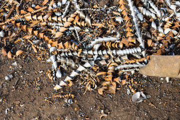 silver spirals of metal shavings as garbage, texture of different size of metal spirals shavings texture, metal shavings texture