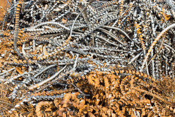 silver spirals of metal shavings as garbage, texture of different size of metal spirals shavings texture, metal shavings texture