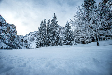 Winterlandschaft in den Bergen