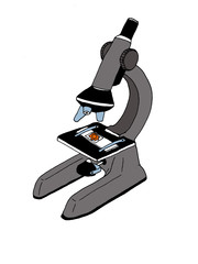 Illustration of an optical microscope