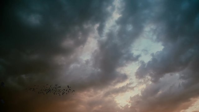 Silhouette of crows flying on the sky.
Magic Lantern Raw Video