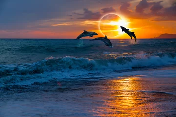 Deurstickers Dolfijn Paar dolfijnen springen op het water met zonsverduistering