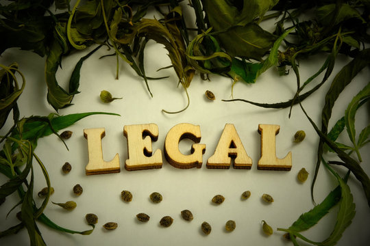 The word LEGAL is lined with wooden letters in the center of the frame from the leaves of marijuana and the grains of the cannabis. The concept of legalization of drugs.