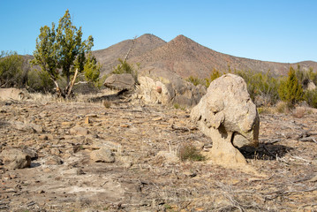 Roca en forma de hongo en el desierto