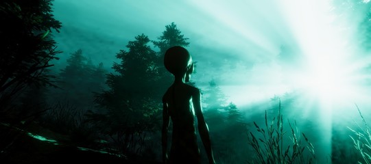 Extremely detailed and realistic high resolution 3d illustration of a Grey Alien standing in a forest © Sasa Kadrijevic