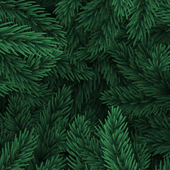 Obraz na płótnie Canvas Christmas tree branches. Festive Xmas border of green branch of pine.