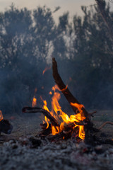 Maderos ardiendo en llamas