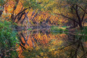 Long exposure photo of beautiful river with colorful trees on the shore