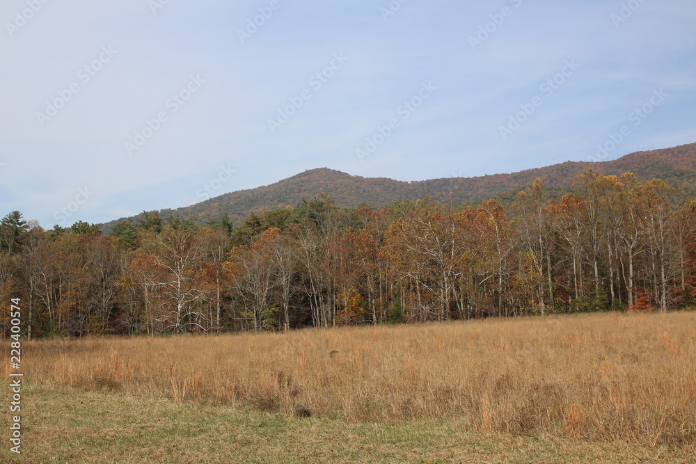 Poster the blue ridge mountains