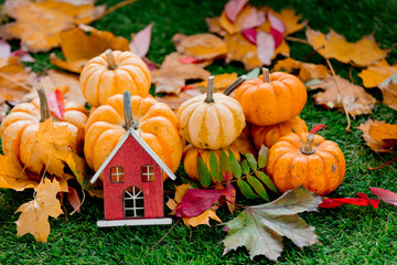 Group of pumpkins and house toy on green lawn