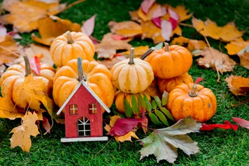 Selbstklebende Fototapete Herbst Gruppe Kürbisse und Hausspielzeug auf grünem Rasen