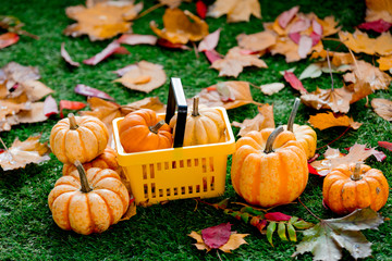 Group of pumpkins and supermarket basket on green lawn
