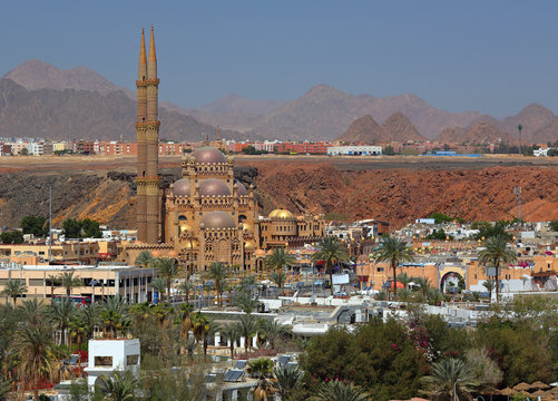 Sahaba Bilder Durchsuchen 455 Archivfotos, und Videos