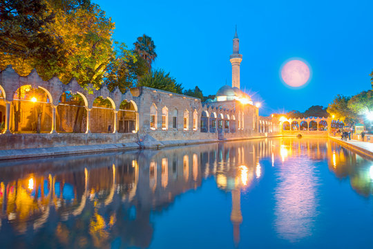 Halil-ur Rahman Mosque and Holy lake with sacred fish in Golbasi Park - Urfa, Turkey"Elements of this image furnished by NASA