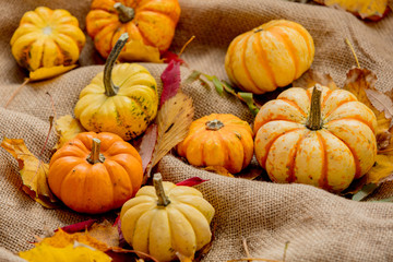 Orange pumpkins and leaves on rumpled sackcloth