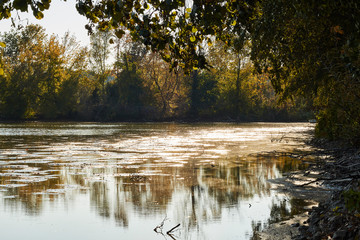 Beautiful autumn landscape with trees leaning over a lake during colorful sunset.