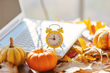 Orange pumpkin, alarm clock and leaves near laptop