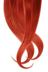 Red hair, isolated on white background. Long wavy ponytail